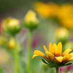 盛兴彩票官网导航:助您轻松找到最新彩票信息与服务 08xxnm9