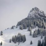 如何顺利完成娱乐天地注册,享受丰富的娱乐体验 aazn2v