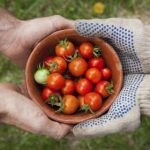 如何顺利完成环球国际官网下载的步骤与注意事项 n03t5y25e