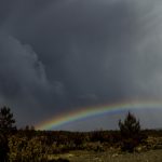 实时更新的大赢家即时足球比分网,助你掌握比赛动态 p6e66lt