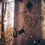 嬴咖娱乐注册:轻松开启你的在线娱乐新体验 v50uwa8js