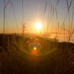 如何顺利完成博猫注册并享受丰富的游戏体验 x1x6p